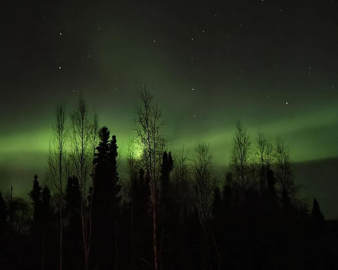Alaska Grizzly Lodge Fairbanks Kültér fotó
