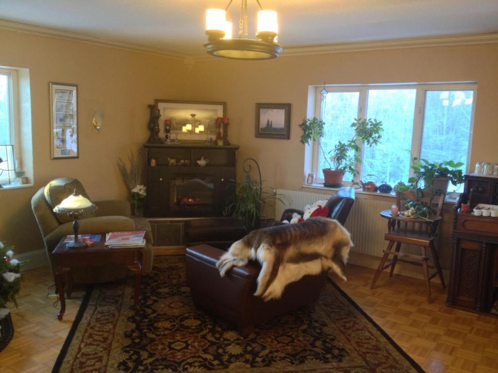 Alaska Grizzly Lodge Fairbanks Kültér fotó